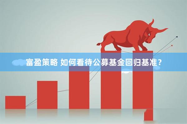 富盈策略 如何看待公募基金回归基准？